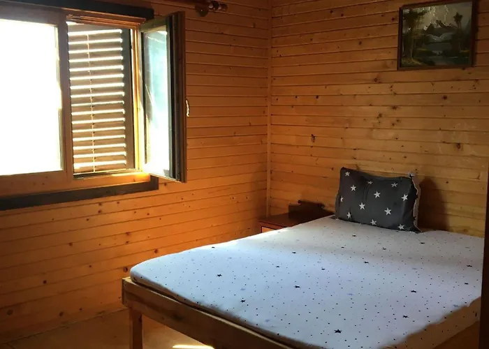 Affittacamere Flora *