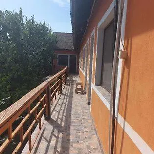 Vila Flora Affittacamere